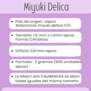 Miyuki Delica