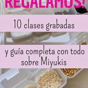 Kit Miyuki 28 colores -10 Clases Gratis y Guía Miyuki de REGALO y Varios más